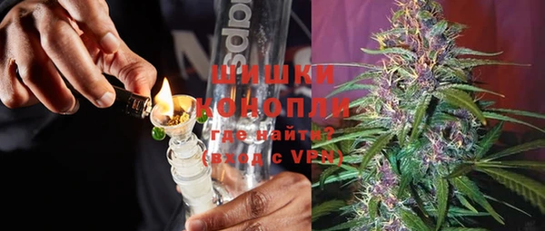 хмурый Осинники