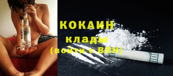 хмурый Осинники