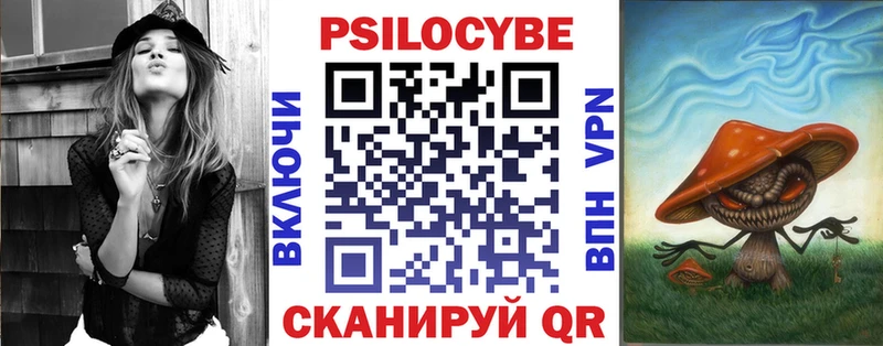 Купить закладки  Духовщина  Псилоцибиновые грибы MAGIC MUSHROOMS 
